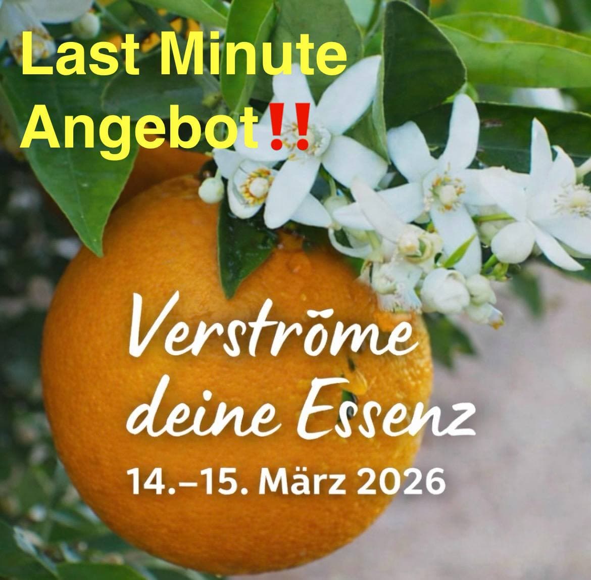 TANZ DICH! Seminar mit Aufstellung zum Thema Verströme deine ESSENZ