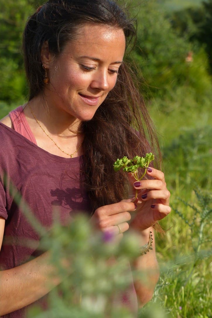 Erwachen der Lebenskraft: Yoga & Wildkräuter Workshop