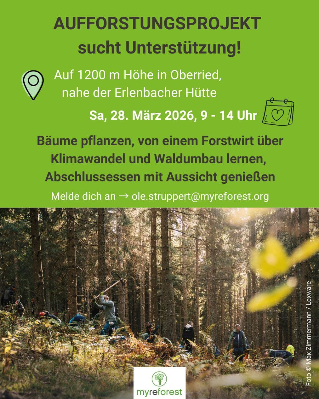 Aufforstungsprojekt Oberried