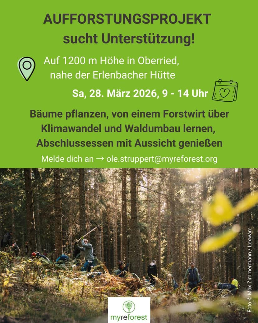 Aufforstungsprojekt Oberried