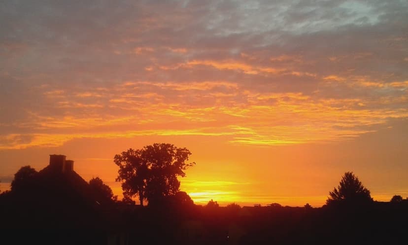 Sonnenaufgangstour am Batzenberg - Silent Walk - Meditation & Gesang