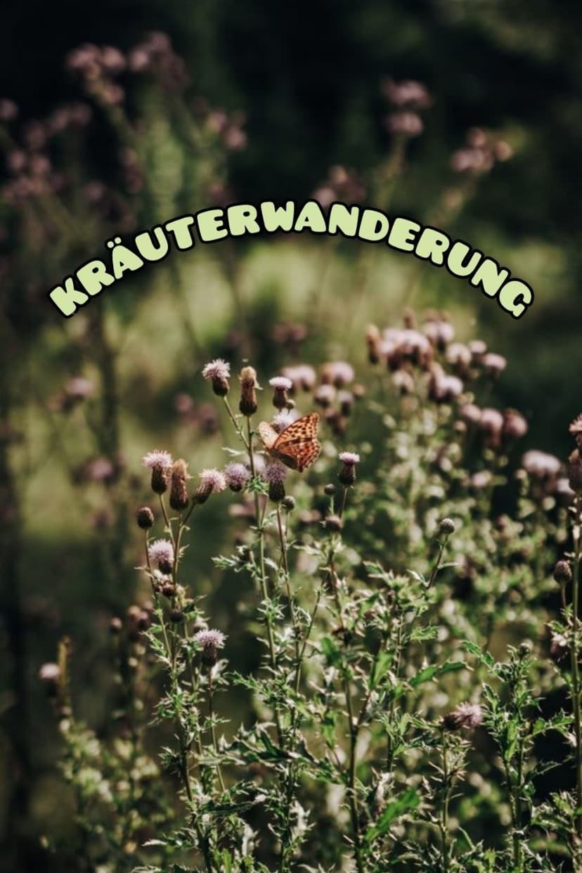 KRÄUTERWANDERUNG mit Achtsamkeitsübungen und anschließender Teezeremonie