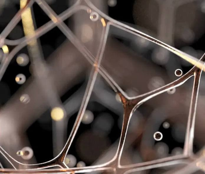 Fascial Release & natürliche Ausrichtung der Wirbelsäule