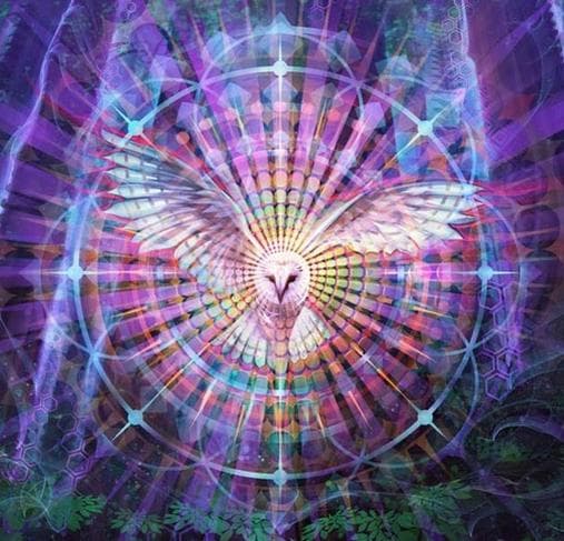 Holy Wild - Ecstatic Dance