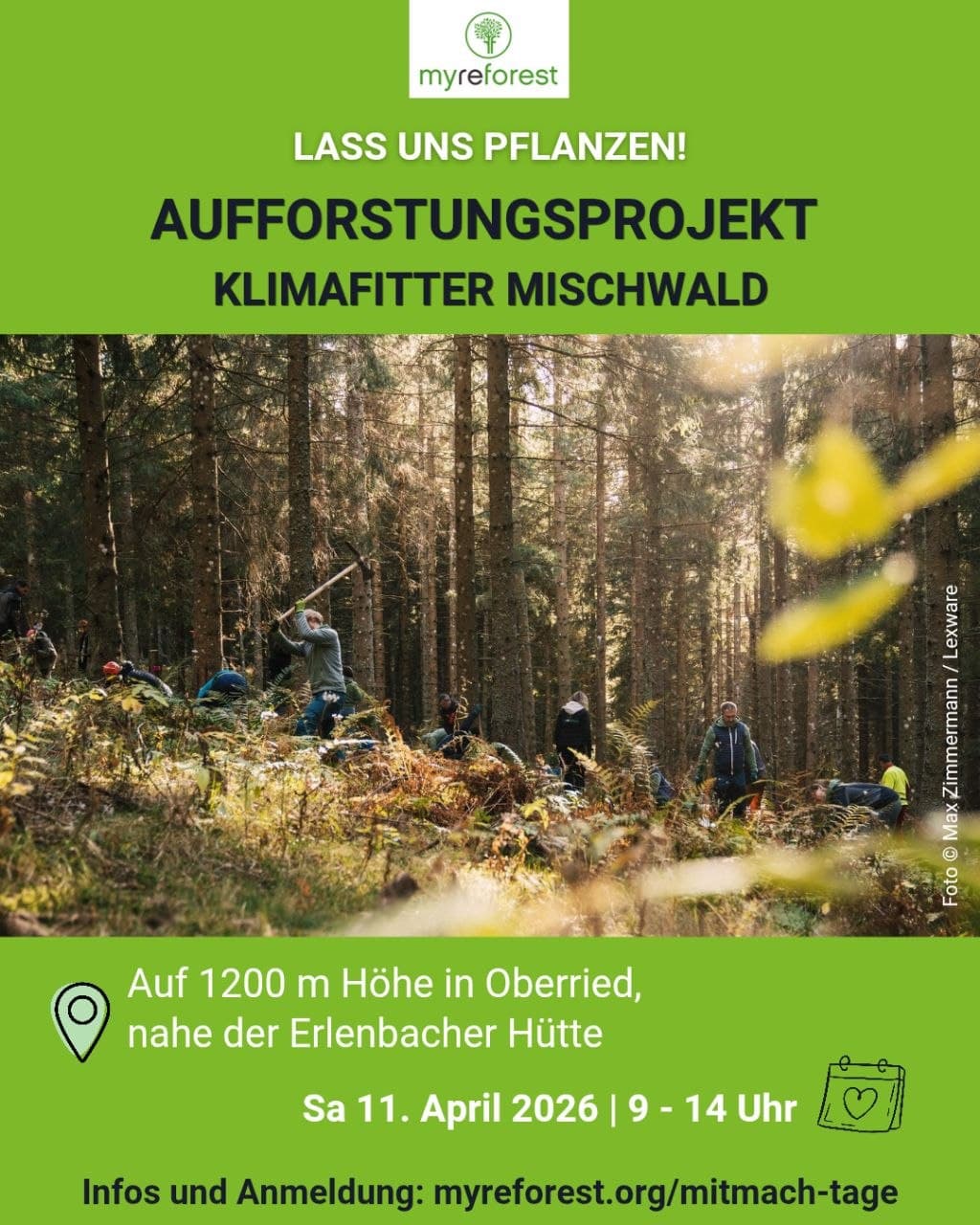 LASS UNS PFLANZEN! Mischwald pflanzen im Dreisamtal