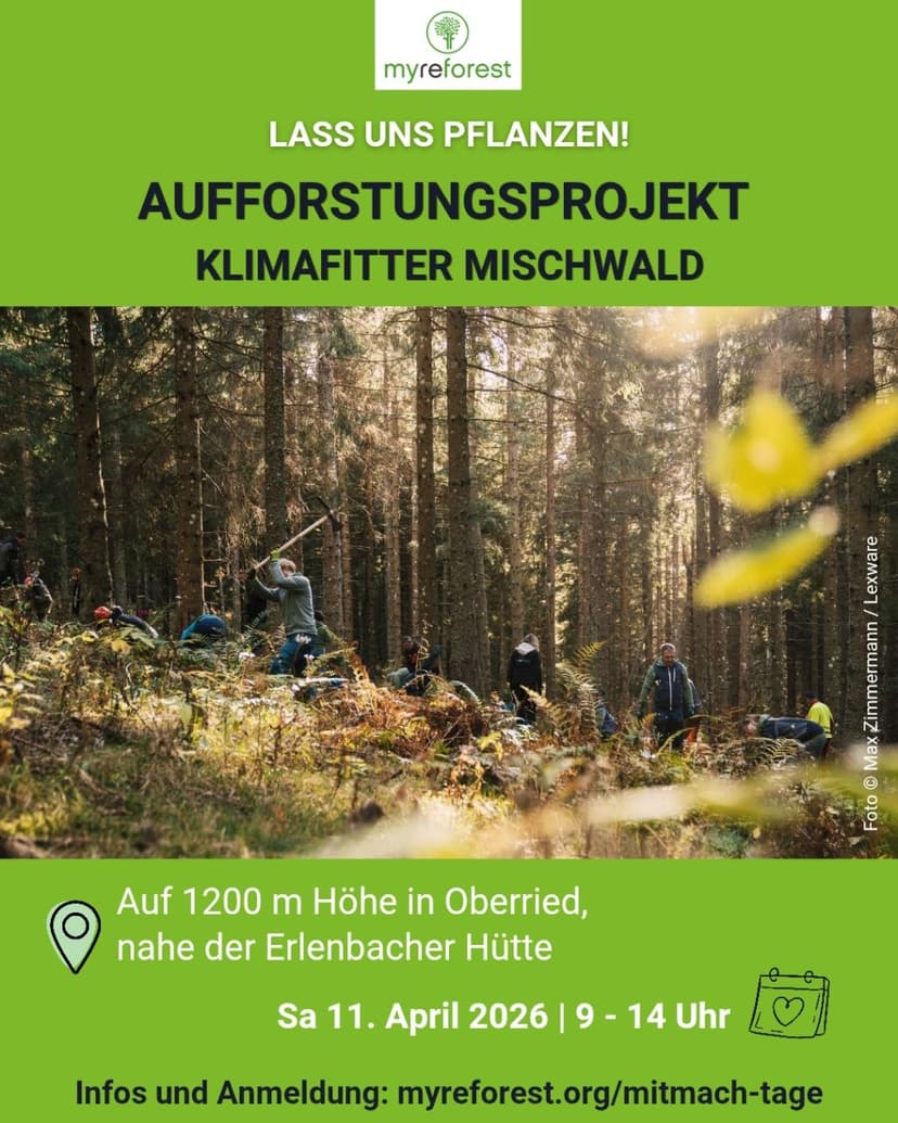 LASS UNS PFLANZEN! Mischwald pflanzen im Dreisamtal