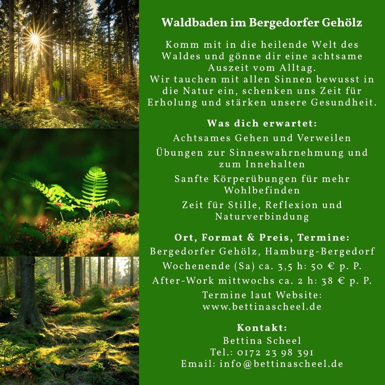 Waldbaden im Bergedorfer Gehölz