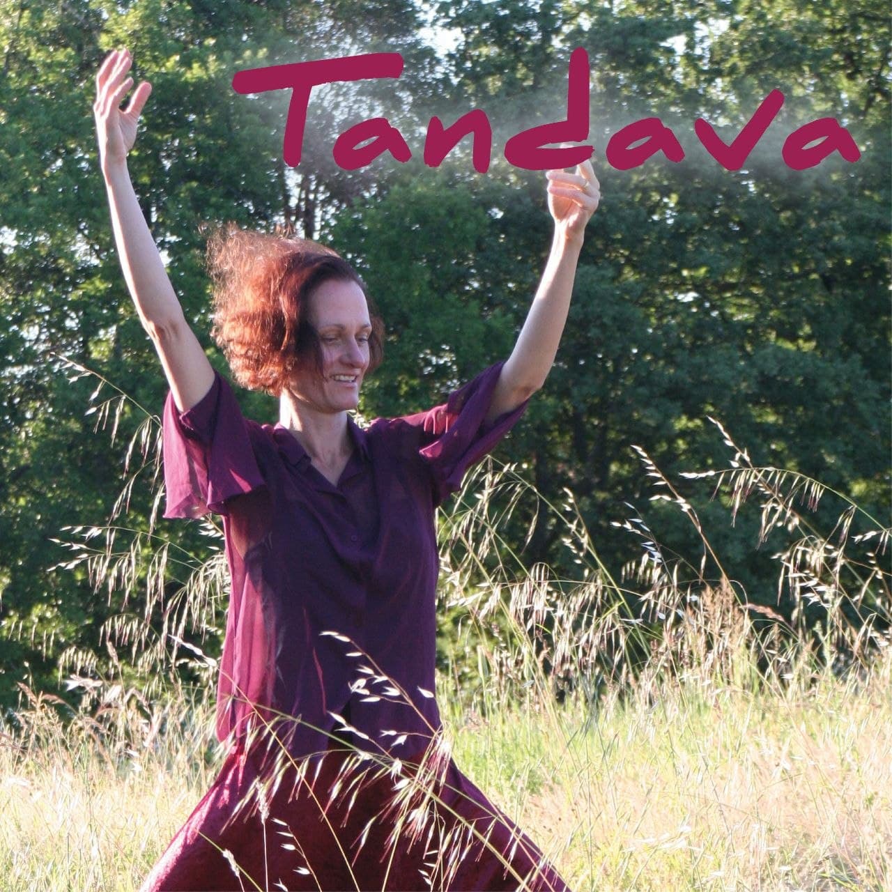 Tandava Lasya tantrisch sinnliche Bewegungsmeditation