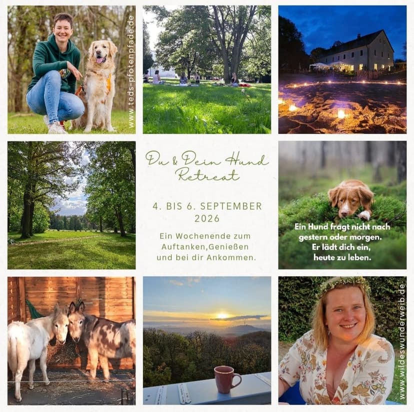 Du & Dein Hund Retreat