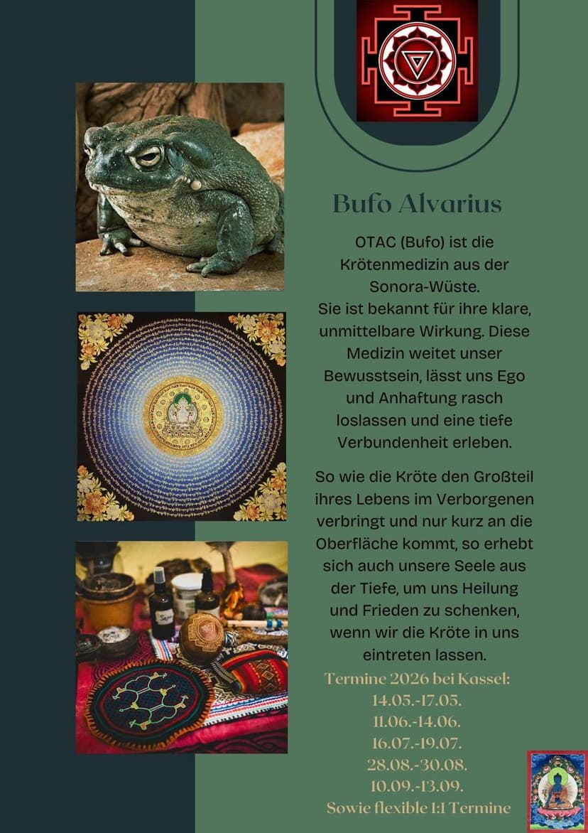 Bufo Alvarius Zeremonie
