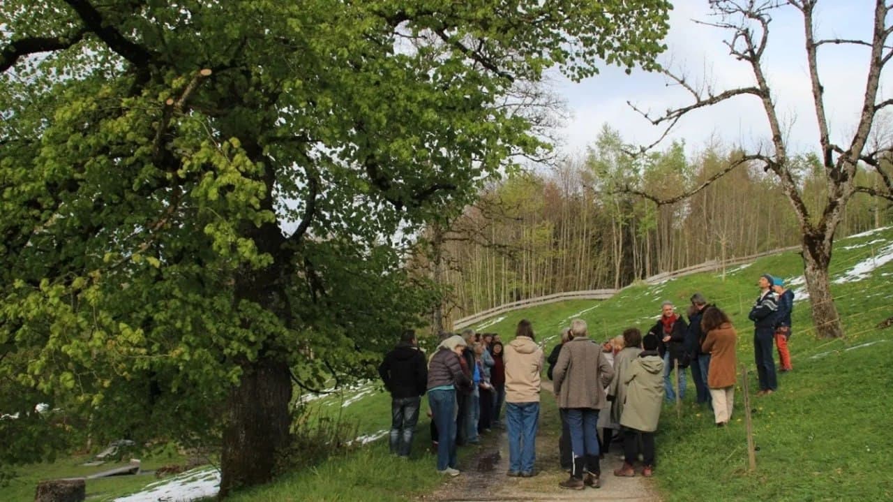 Lebendige Fülle sein - Eine praktische Naturmystik des Herzens