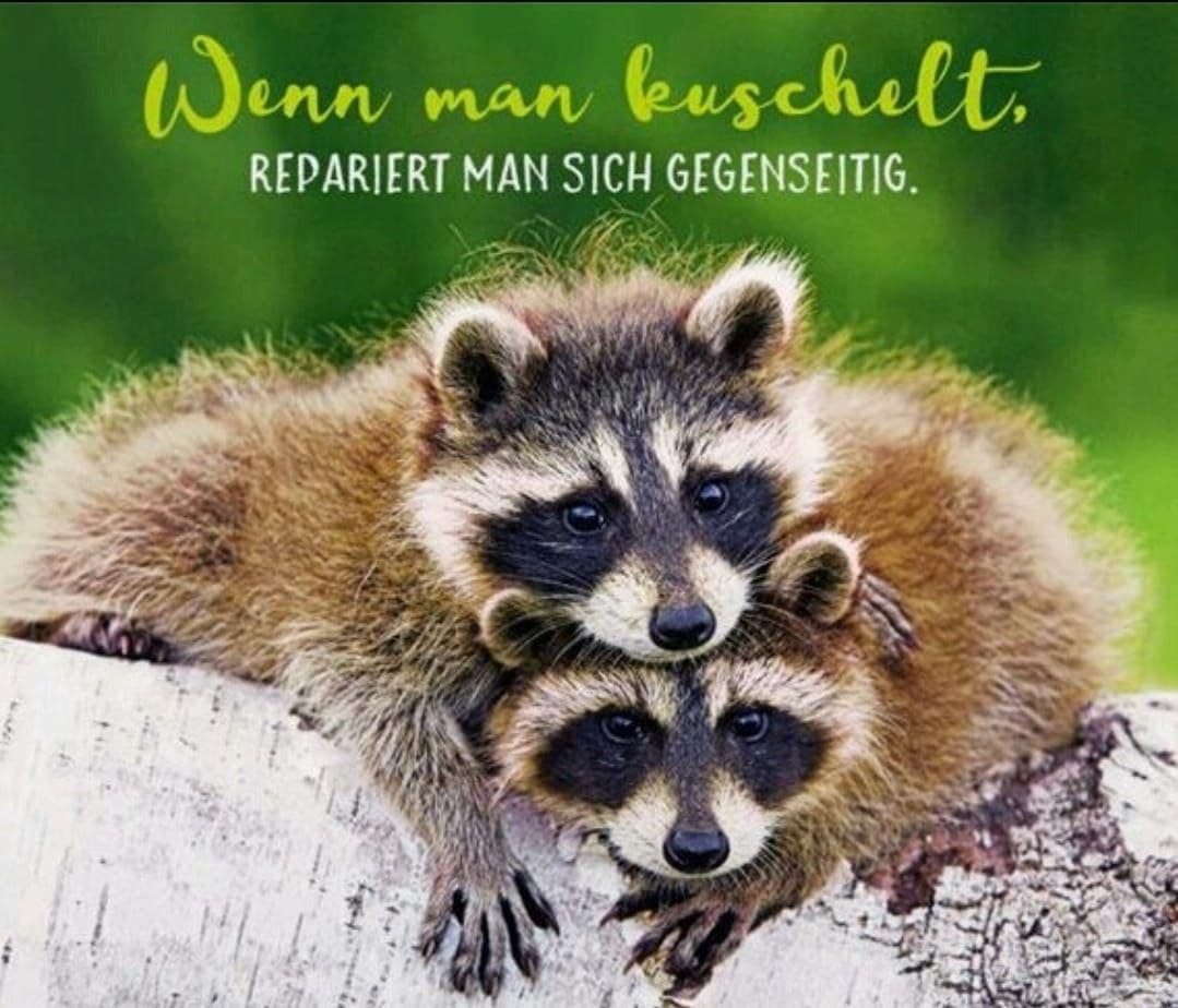 Kuschelabend in Trossingen