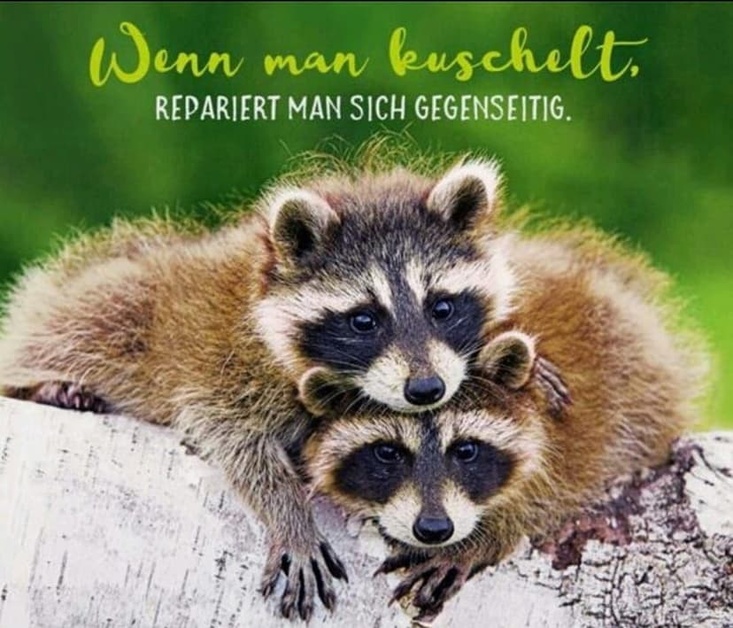 Kuschelabend in Trossingen