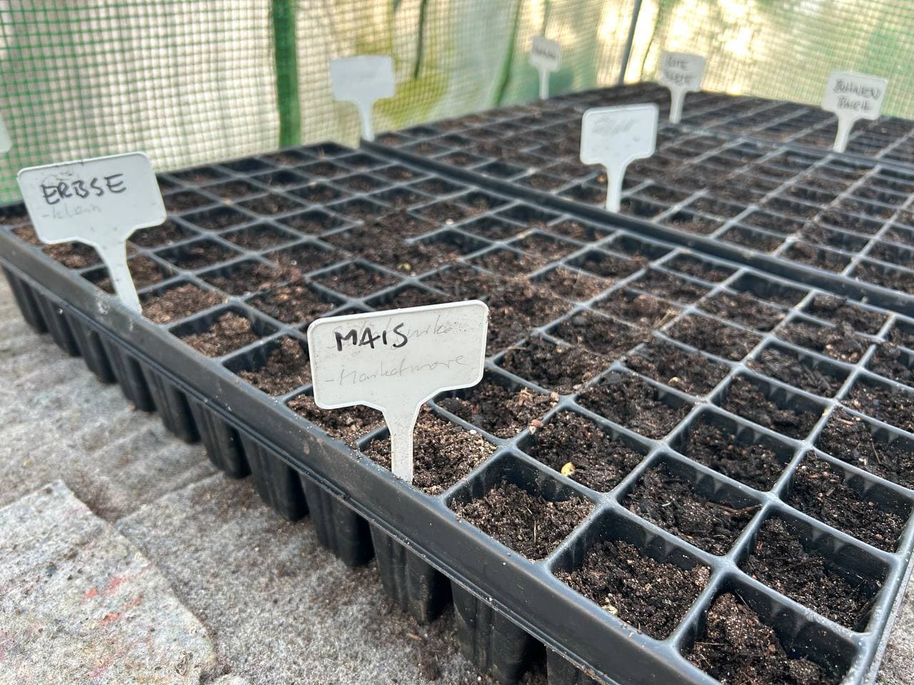 Gartenarbeit, Samen säen und Gemeinschaft im Kreisgarten