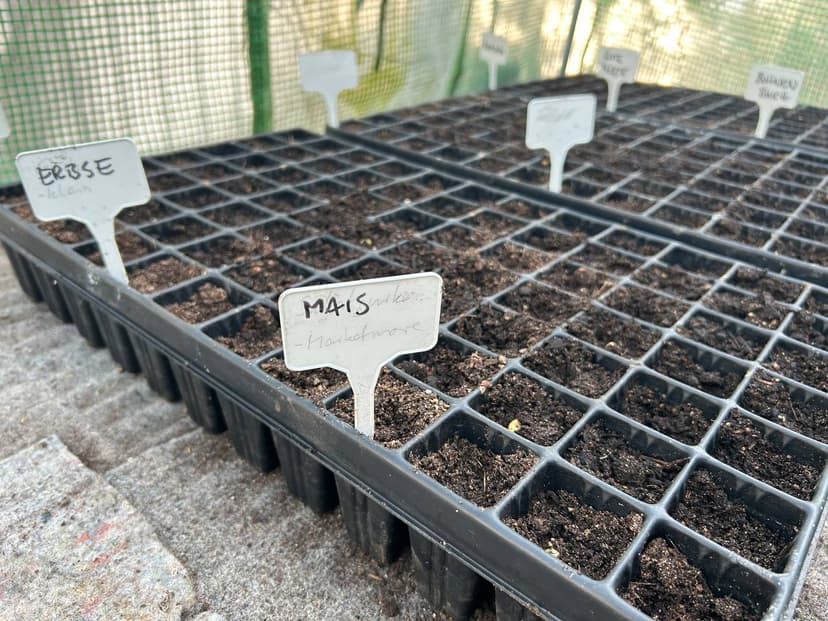 Gartenarbeit, Samen säen und Gemeinschaft im Kreisgarten