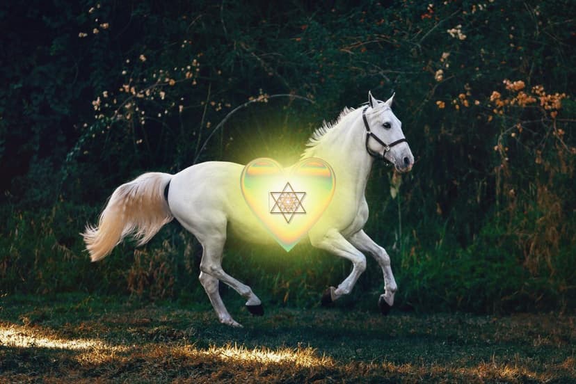 Komm' zum kostenlosen Zoom Call mit dem weißen Pferd