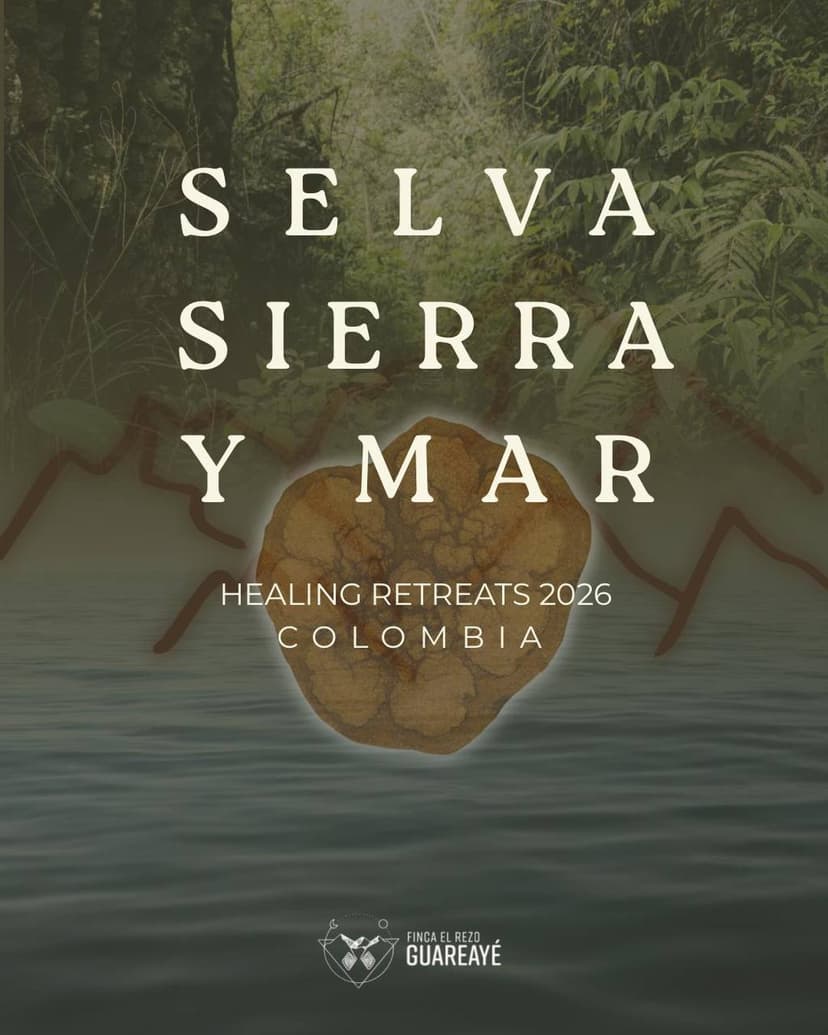 Selva · Sierra · Mar Healing Retreats 2026 Kolumbien