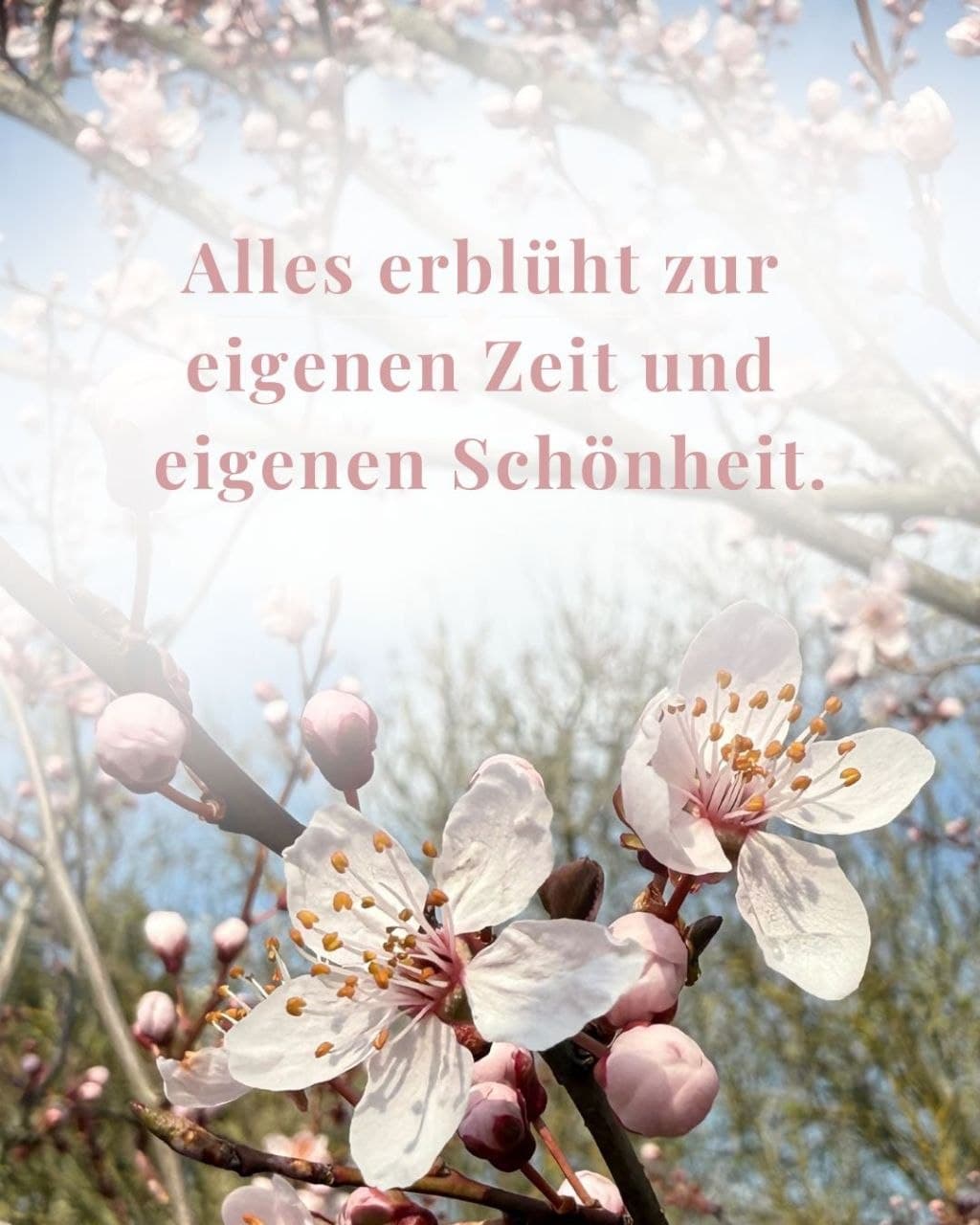 Frühlings-Tagesretreat für Frauen