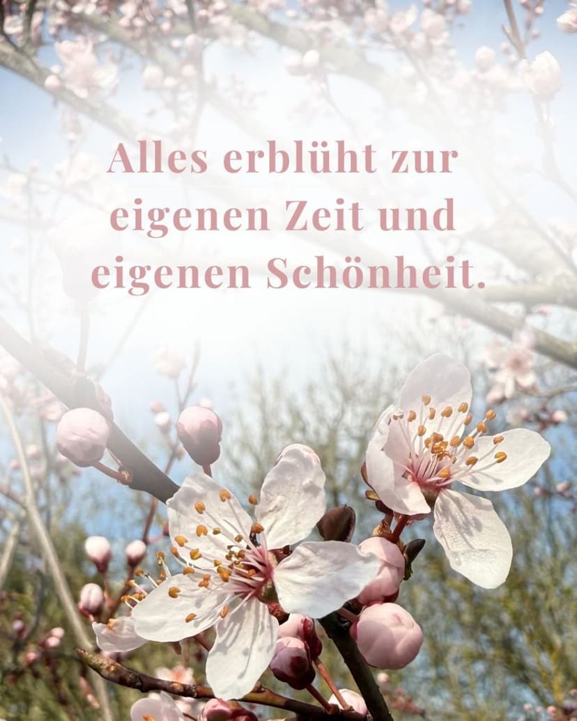 Frühlings-Tagesretreat für Frauen