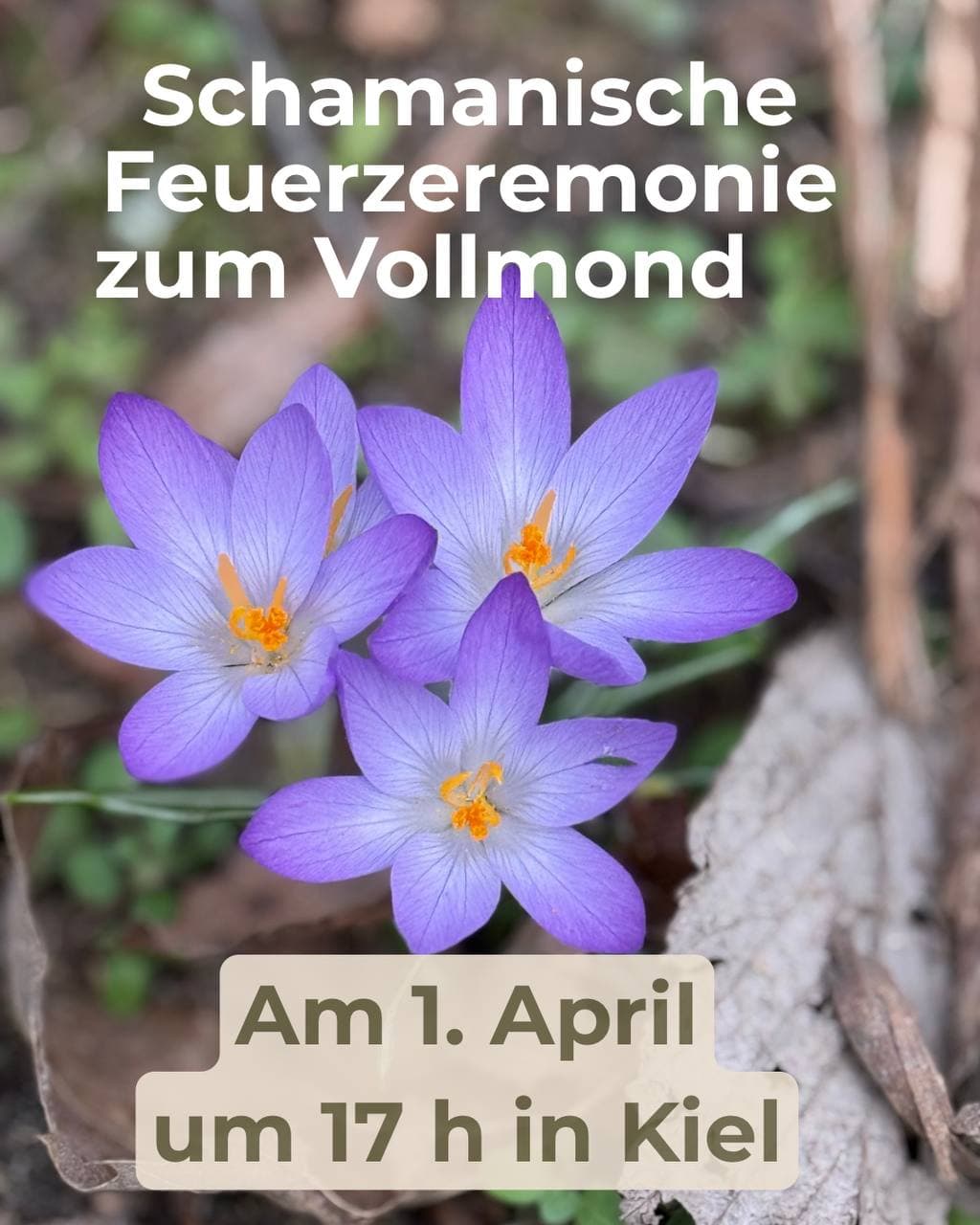 Schamanische Feuerzeremonie zum Vollmond