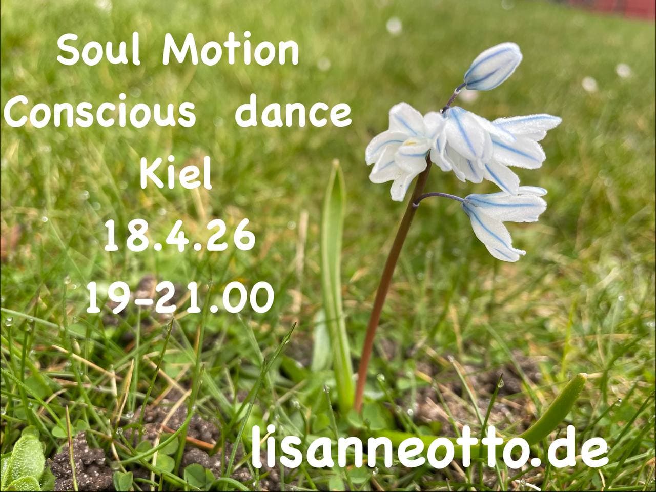 Soul Motion – Conscious Dance