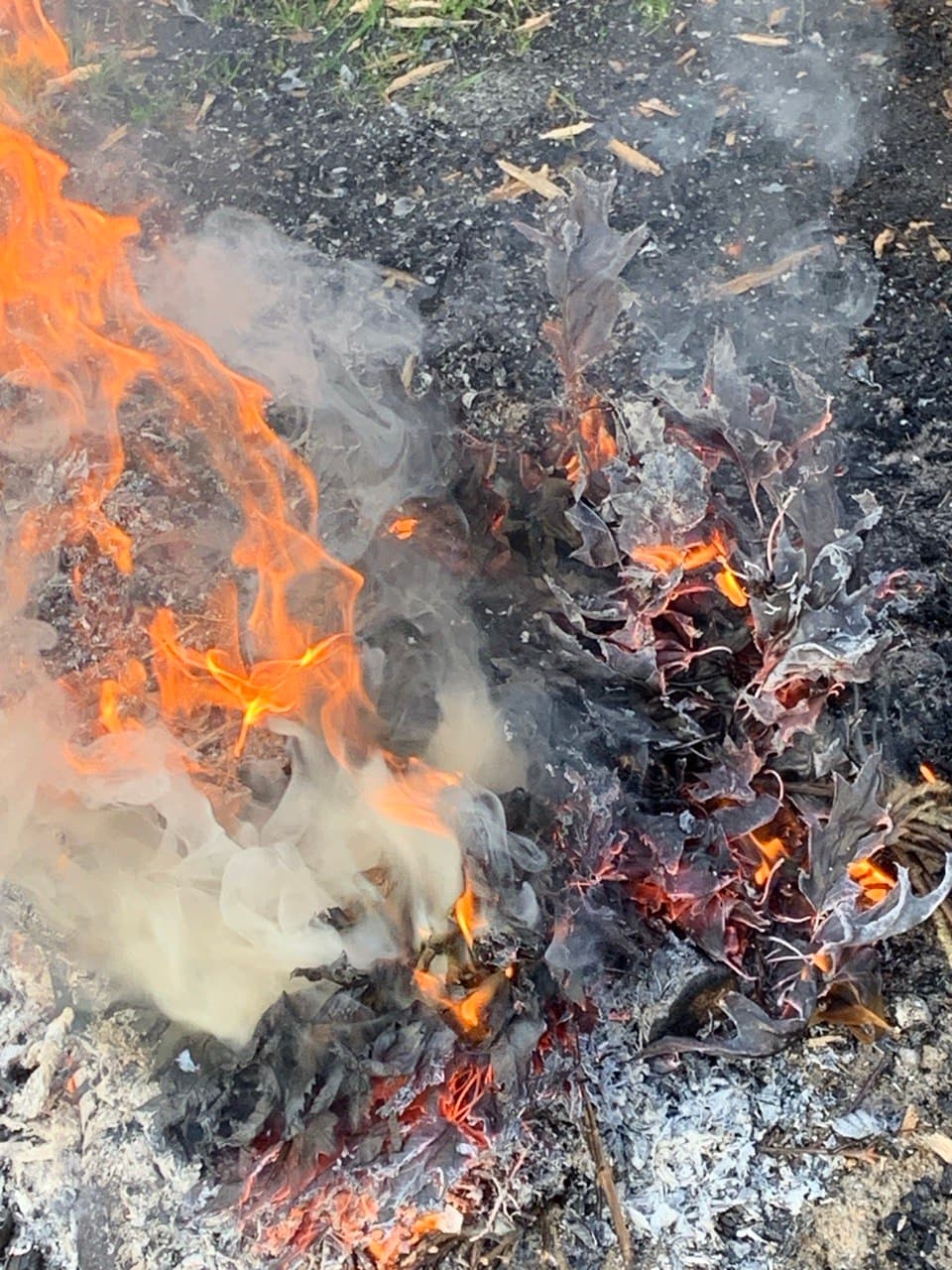 This Weekend in Stuttgart