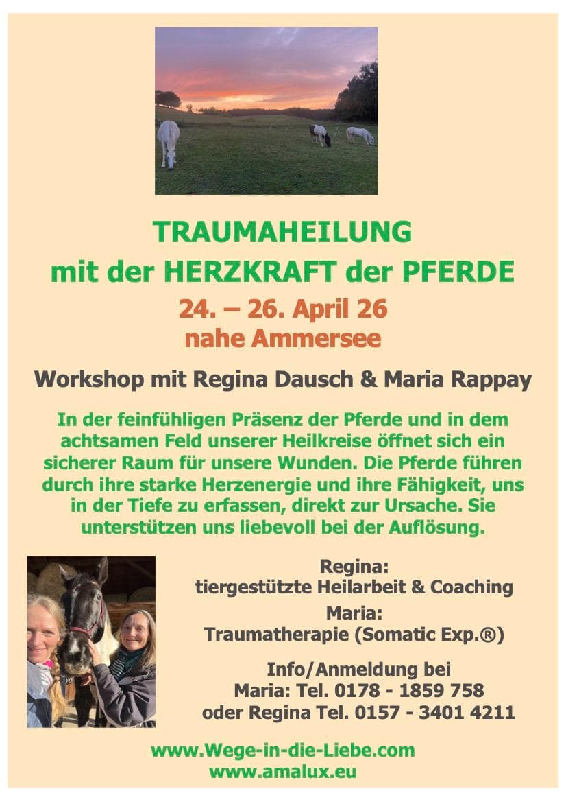 Traumaheilung mit der Herzkraft der Pferde