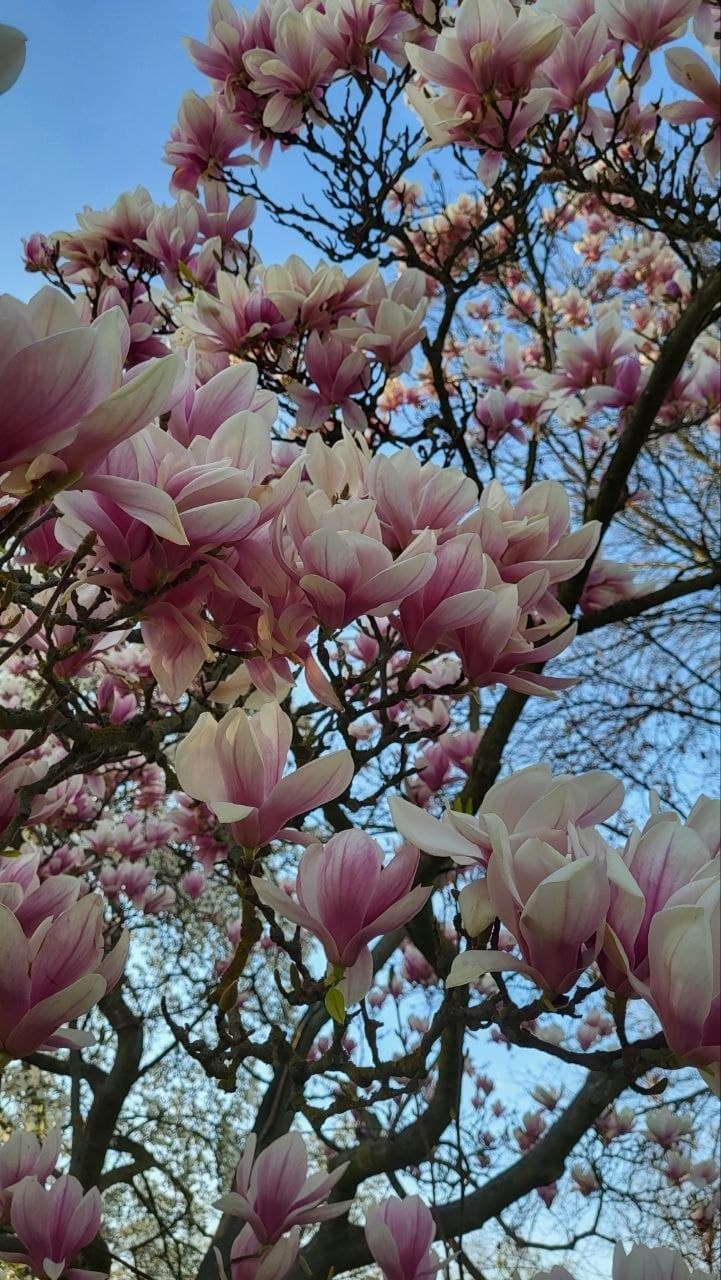 Reguliertes Nervensystem - und dann?