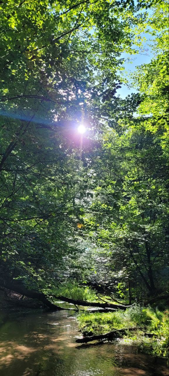 Wahrhaftig Frei-Sein