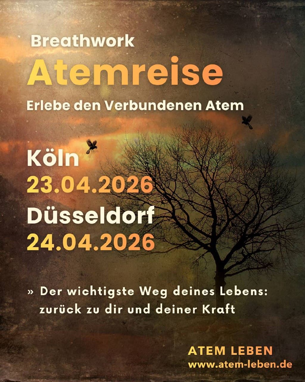 Atemreisen