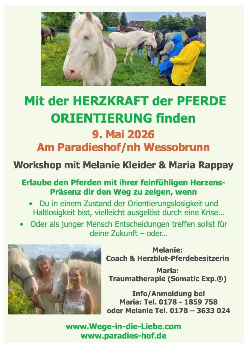 Mit der HERZKRAFT der PFERDE ORIENTIERUNG finden