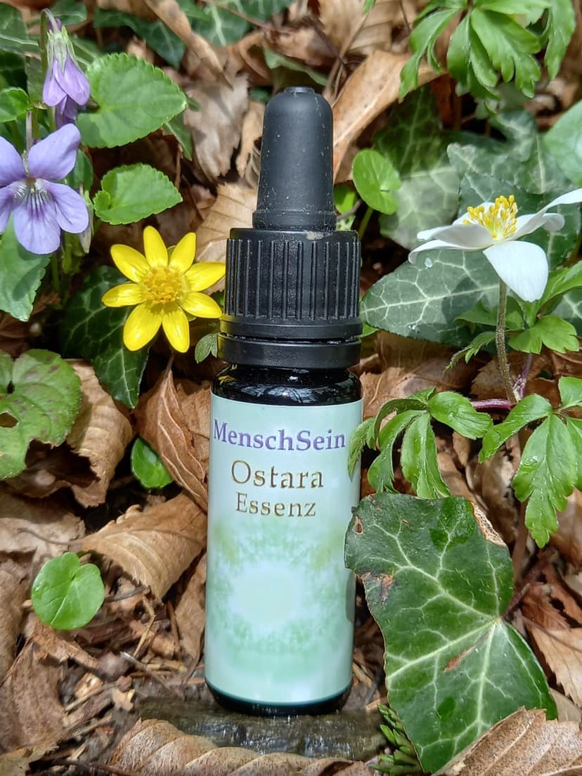 Kostenfreier Online-Abend: Ostara-Essenz