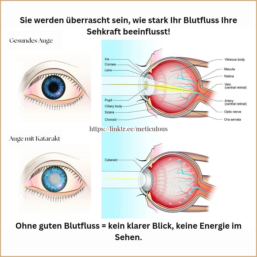 Gesund, glücklich & ohne Brille – Norbekov-Methode Schnuppertag