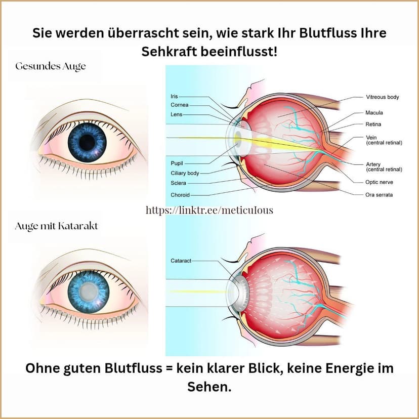 Gesund, glücklich & ohne Brille – Norbekov-Methode Schnuppertag